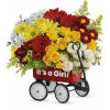 Baby's Wow Wagon by Teleflora - Girl premium