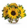 Sunny Sunflowers standard