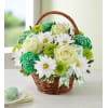   St. Patrick's Day Flower Basket™ deluxe