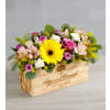 Garden Beauty™ Centerpiece standard