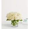 Contemporary White Roses standard