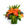 October Evening™ - Premium. An arrangement by Forked River Florist.