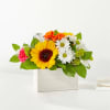 The Sun-Drenched Blooms Box standard