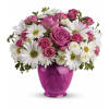 Teleflora's Pink Daisy Delight deluxe