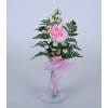 Carnation Vase standard