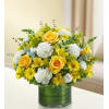 Cherished Memories - Yellow and White standard