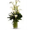 My Fair Lady by Teleflora premium