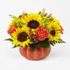 Harvest Traditions Pumpkin Bouquet by FTD deluxe