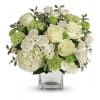 Teleflora's Shining On Bouquet deluxe