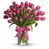 Precious Pink Tulips premium