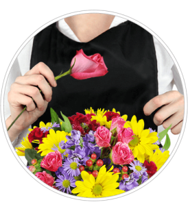 Florist's Choice Daily Deal Florist's Choice Daily Deal