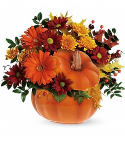 Country Pumpkin Country Pumpkin