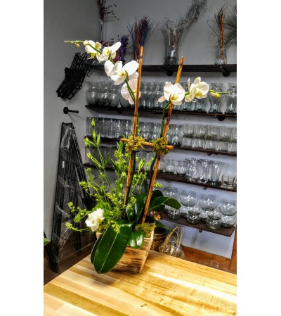 Shabby Chic Orchid Shabby Chic Orchid