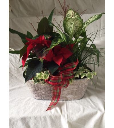 Christmas Planter Christmas Planter