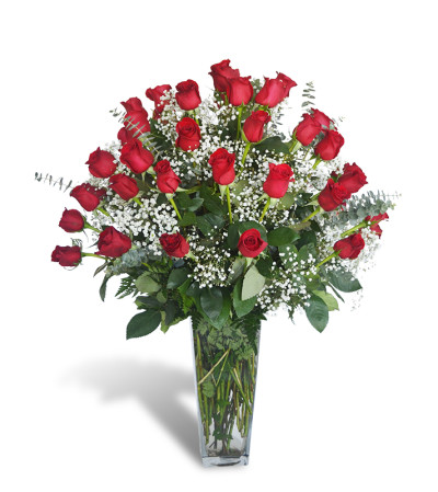 Four Dozen Premium Roses 2019 Four Dozen Premium Roses 2019