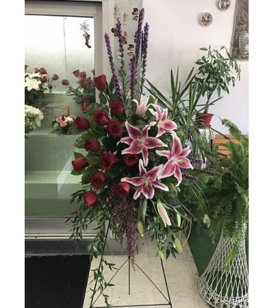 Stargazers and Roses Stargazers and Roses