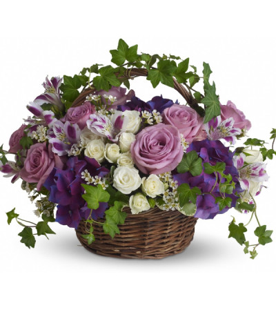English Plum Basket English Plum Basket