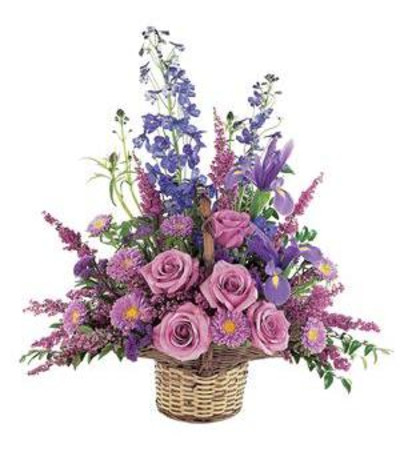 Comfort Basket Comfort Basket