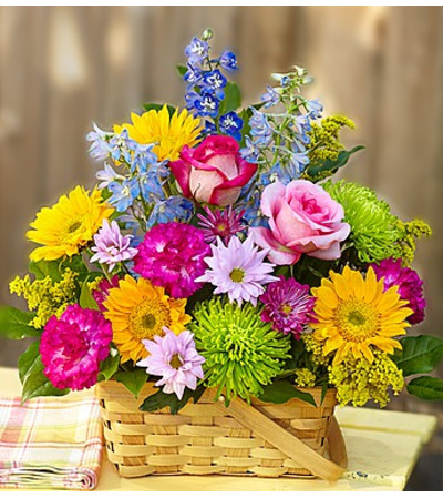 Sunny Basket Sunny Basket