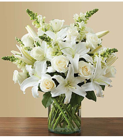 Graceful in white Graceful in white