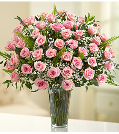 Long Stem Pink Roses Long Stem Pink Roses