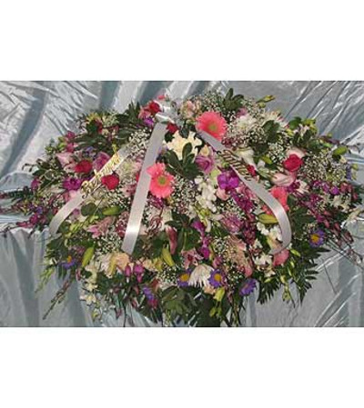 Purple Dendrobium & Gerbers GF-CC10 Purple Dendrobium & Gerbers GF-CC10