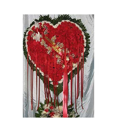 Bleeding Heart with White Carnation Border Bleeding Heart with White Carnation Border