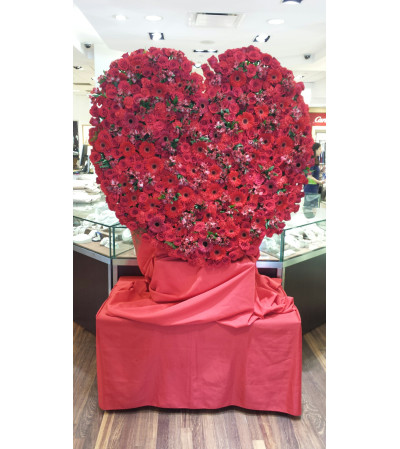 Heart of Hope Heart of Hope