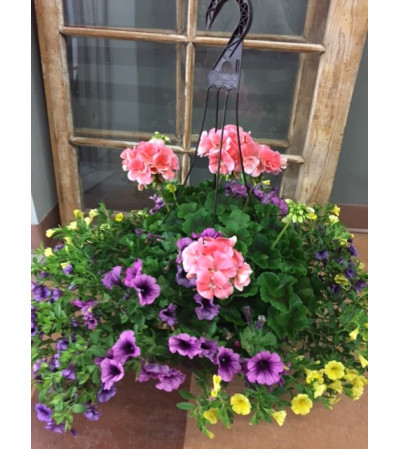 Outdoor Hanging English Garden Outdoor Hanging English Garden