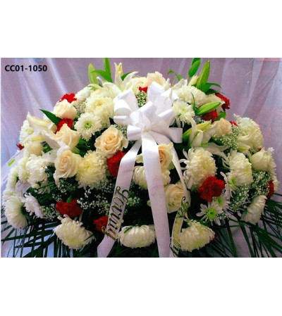 CC01-1050 CC01-1050