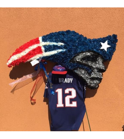 Patriots Logo Patriots Logo