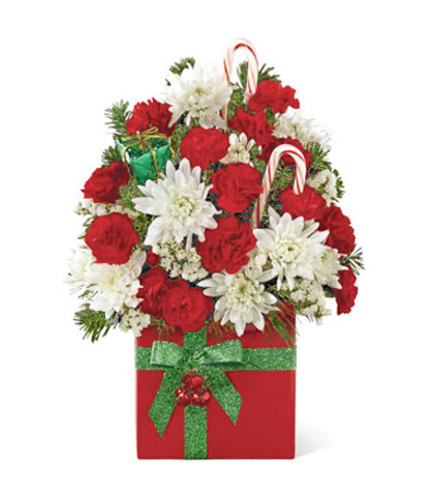HOLIDAY CHEERS GIFT HOLIDAY CHEERS GIFT