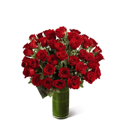 Luxury Roses Luxury Roses