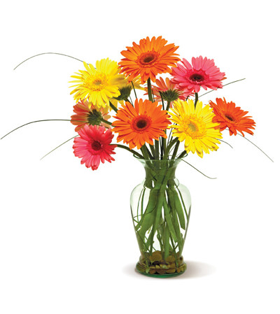 vase of sunshine vase of sunshine