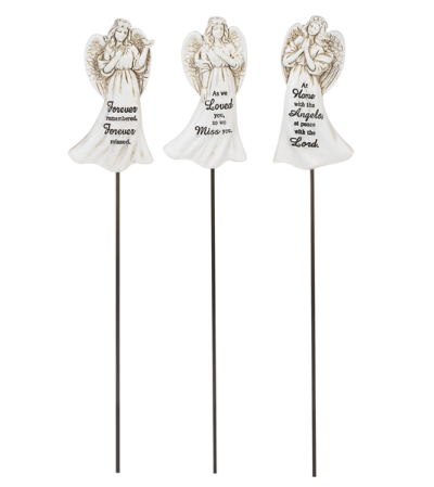 Angel picks Angel picks