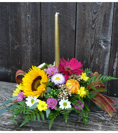 Autumn in Light Autumn in Light