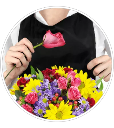 Designer's Choice Standing Spray Designer's Choice Standing Spray