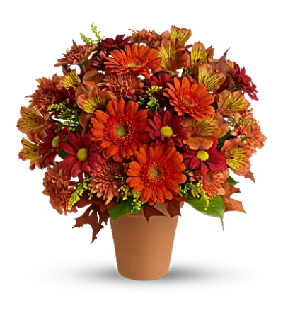 Golden Glow Bouquet Golden Glow Bouquet