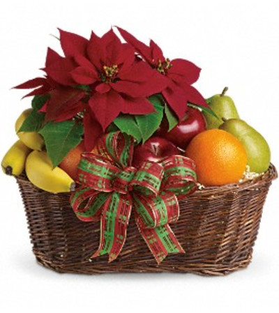 Fruit and Poinsettia Basket Fruit and Poinsettia Basket