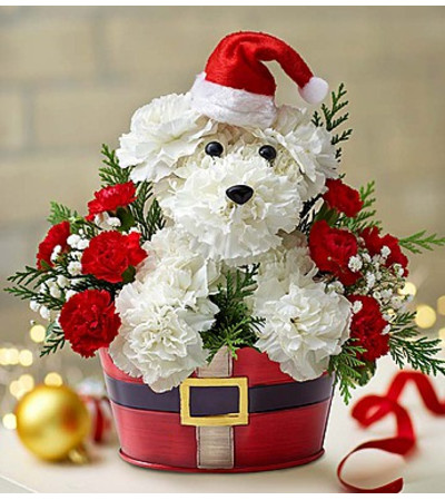 Santa Paws™ Santa Paws™