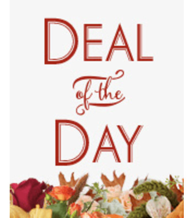 DESIGNER"S CREATION - DEAL OF THE DAY DESIGNER"S CREATION - DEAL OF THE DAY