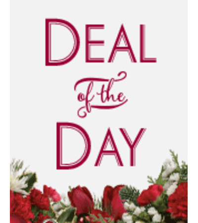 Deal of the DAY Christmas Deal of the DAY Christmas