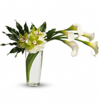 Moondance - by Jennifer's Flowers & Gifts Moondance - by Jennifer's Flowers & Gifts