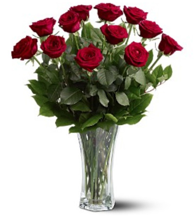 A Dozen Premium Red Roses A Dozen Premium Red Roses
