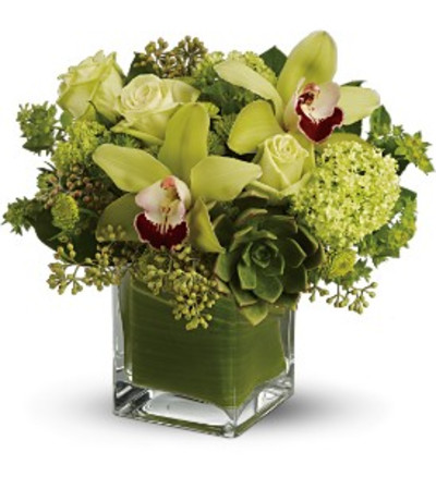 Rainforest Bouquet Rainforest Bouquet