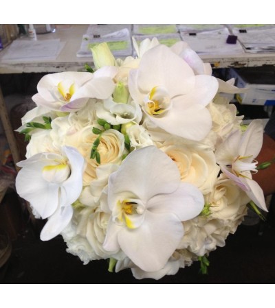 vendela fressias, lisianthus & philanopsis bridal bouquet 1 vendela fressias, lisianthus & philanopsis bridal bouquet 1