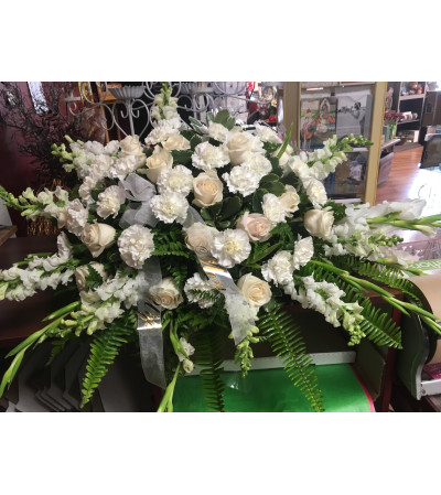 White sympathy White sympathy