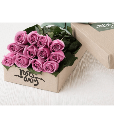 One Dozen Purple Roses One Dozen Purple Roses