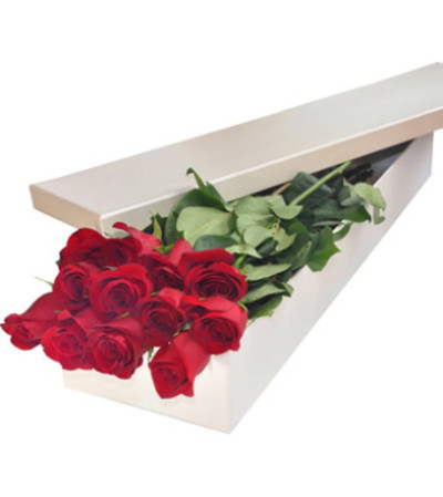 One dozen boxed roses One dozen boxed roses