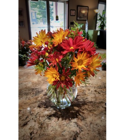 Fall Daisy Bowl Fall Daisy Bowl